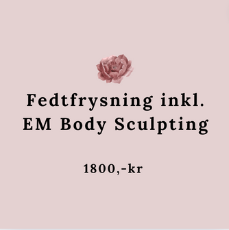 Behandlinger Fedtfrysning med 1 påsætning inkl. 1 x EM Body Sculpting 1800,-kr