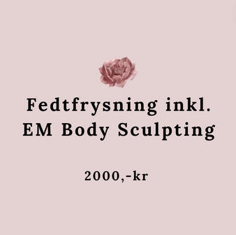 Behandling Fedtfrysning med 2 påsætninger inkl. 1 x EM Body Sculpting 2000,-kr