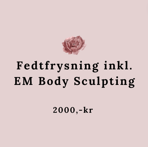 Behandling Fedtfrysning med 2 påsætninger inkl. 1 x EM Body Sculpting 2000,-kr